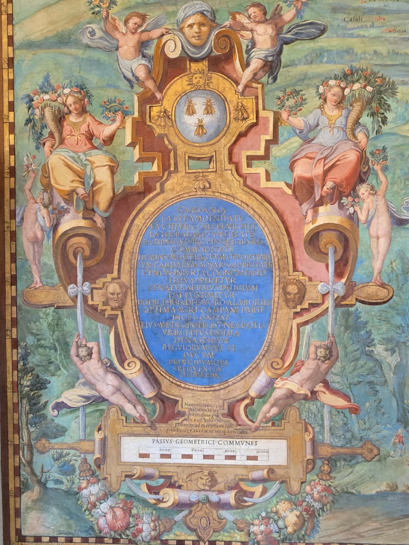 Ornate cartouche